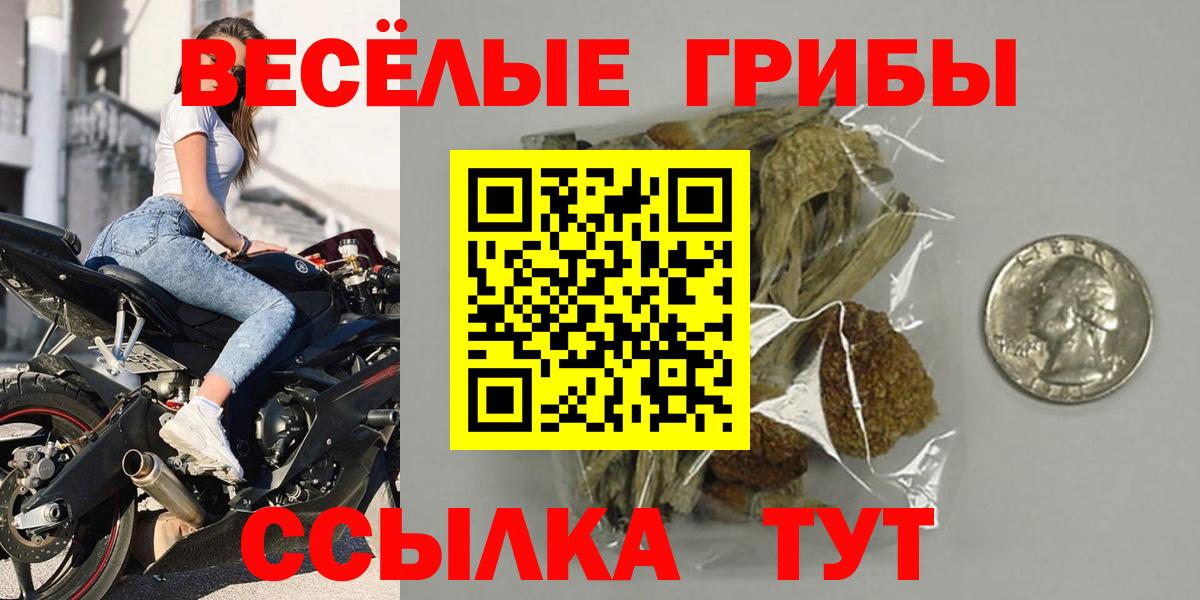 Среднеуральск  Псилоцибиновые грибы мухоморы  дарнет шоп  Вход с VPN 